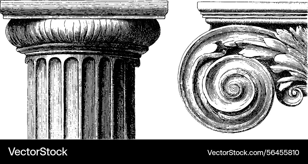 Classical architecture elements featuring fluted vector image