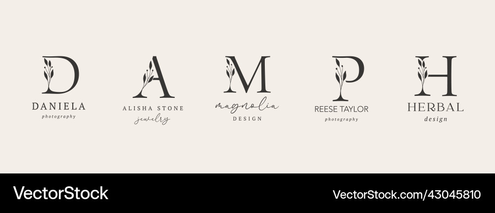 Collection of botanical minimalistic initial Collection of botanical minimalistic initial vector image