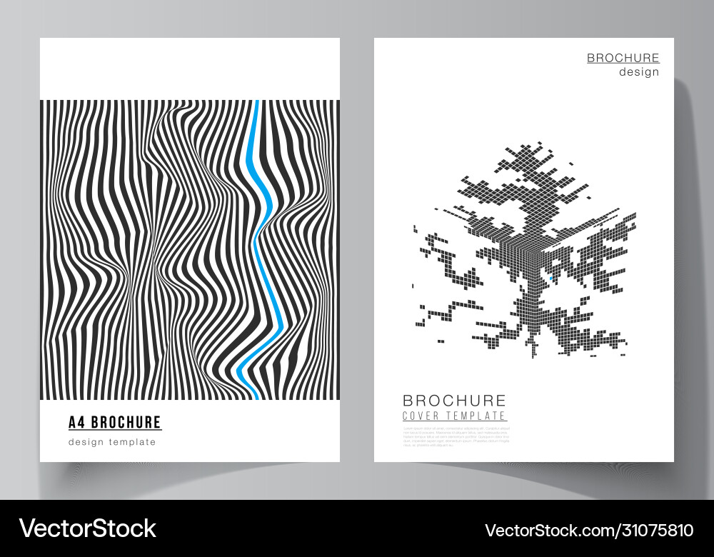 Layout a4 format modern Layout a4 format modern vector image