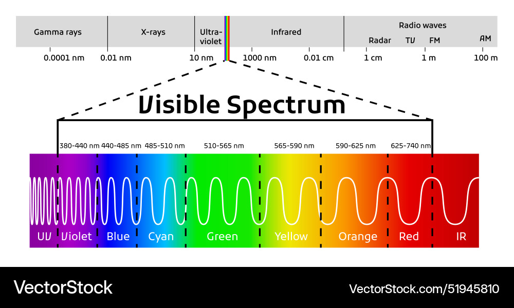 Spectrum wavelength visible color range Spectrum wavelength visible color range vector image