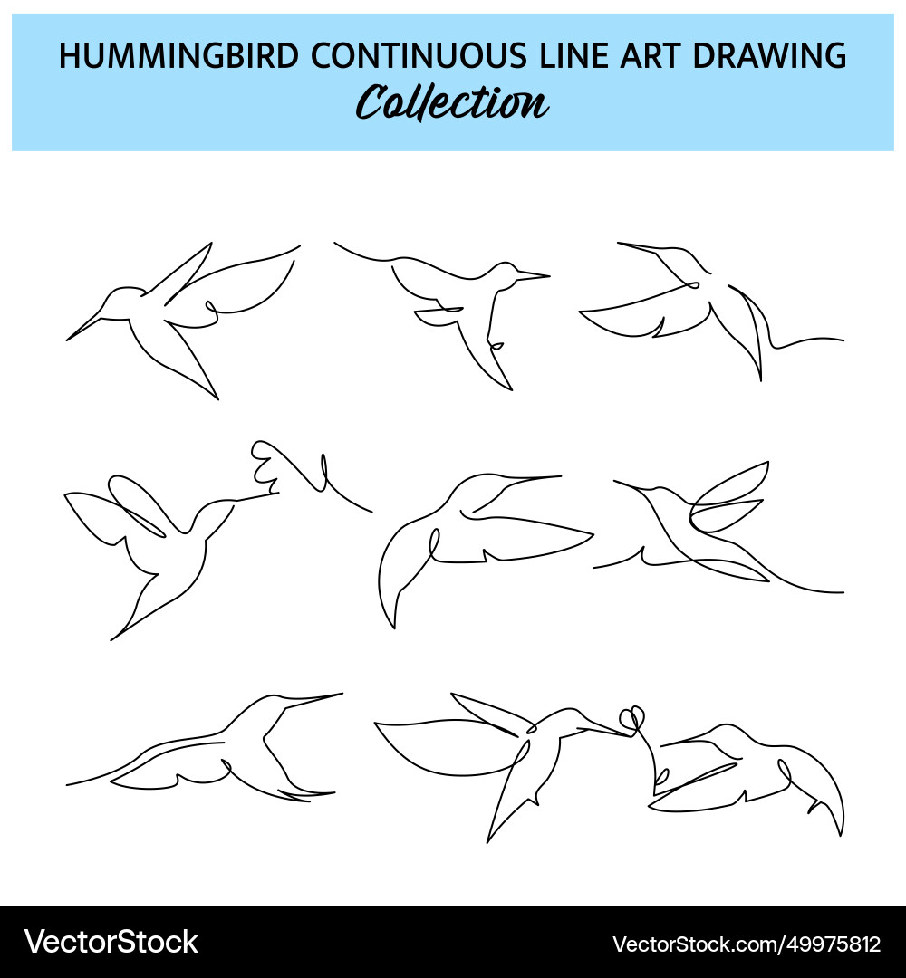 Set of hummingbird one continuous line drawing Vector Image