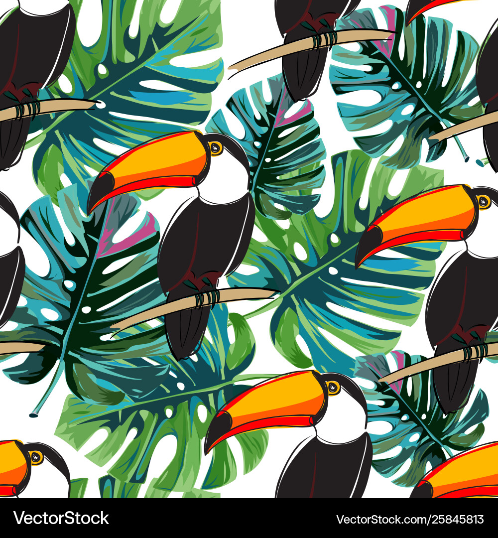 Seamless toucan pattern summer background vector image