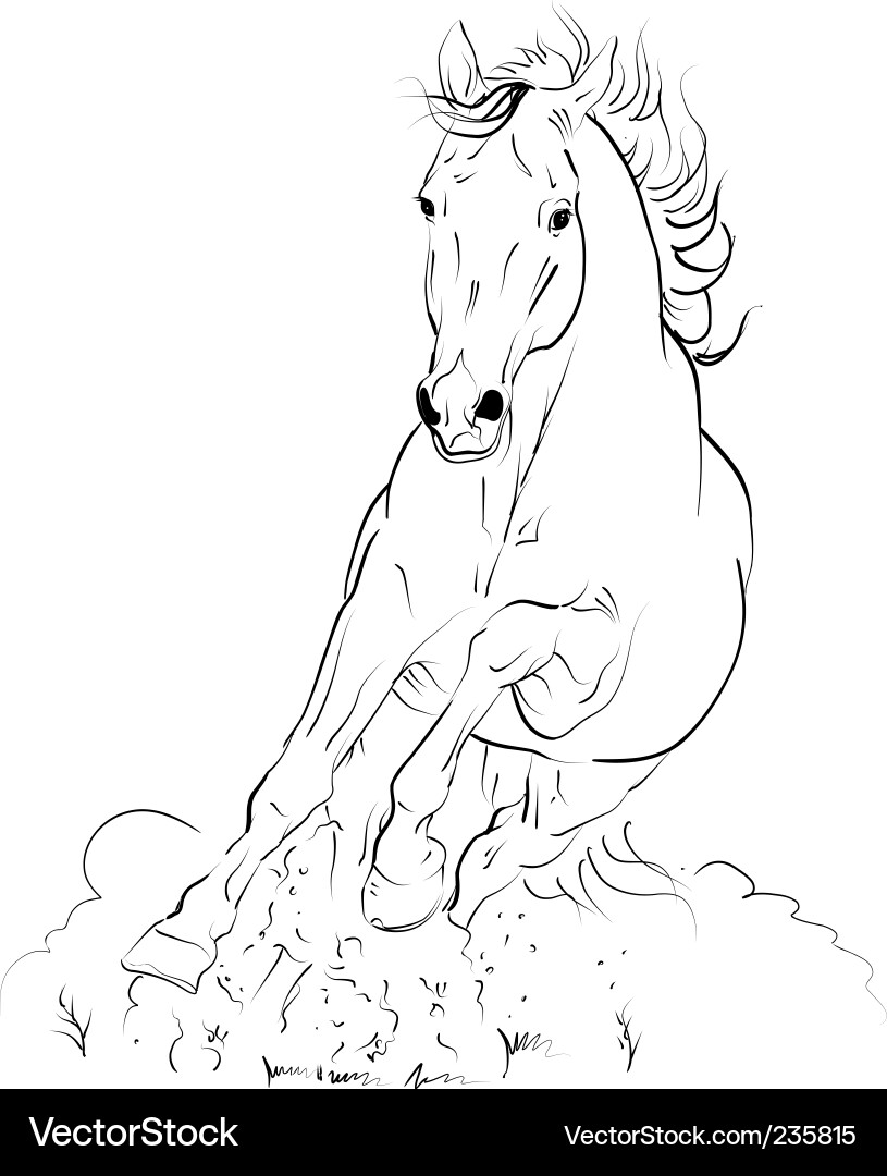 Powerful Galloping Stallion vector image