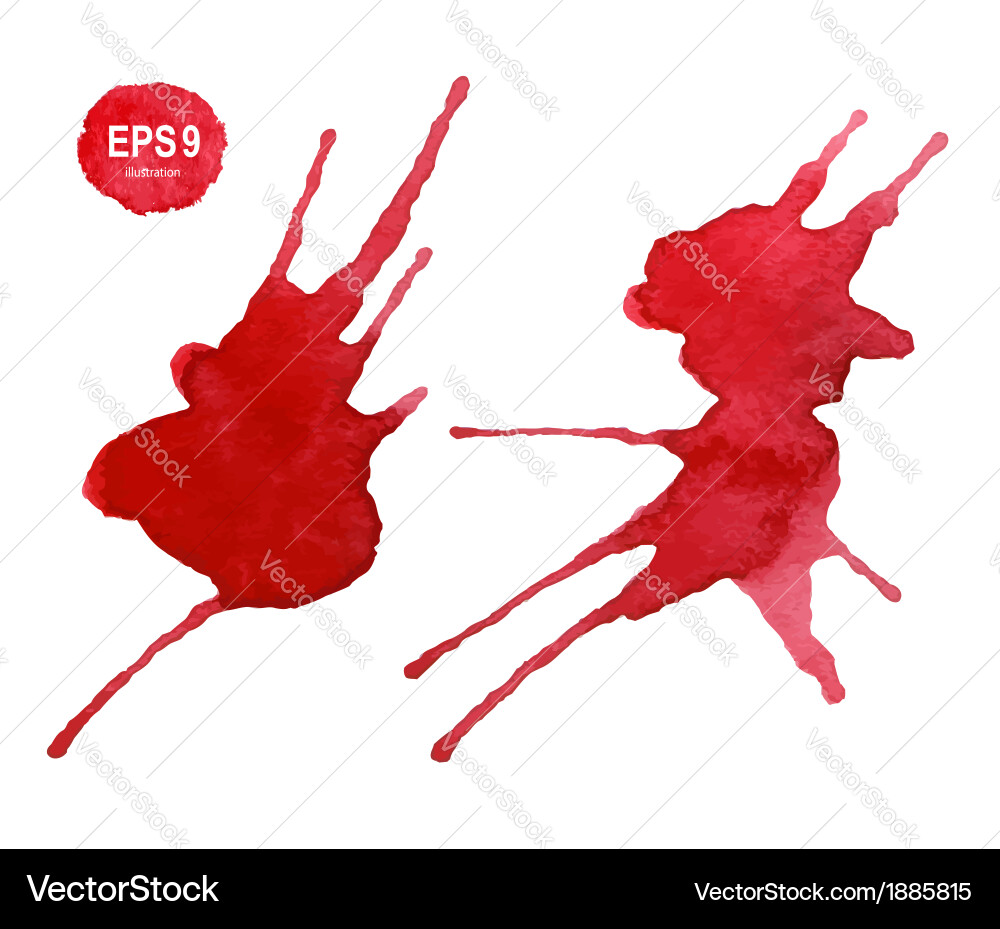 Watercolor Paint Splatters vector image