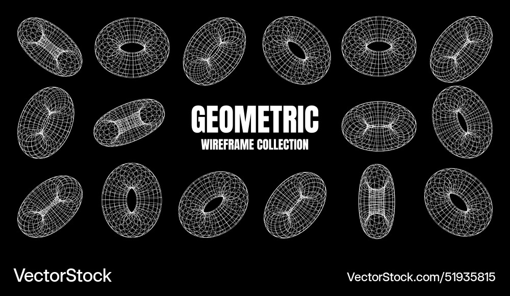 Wireframe shapes lined torus perspective mesh Wireframe shapes lined torus perspective mesh vector image