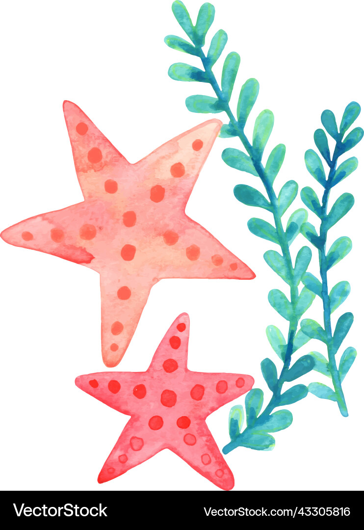 Red starfish with seaweed watercolor vector image