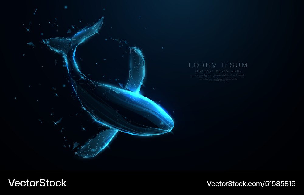 Top view whale low polygonal wireframe linear Top view whale low polygonal wireframe linear vector image