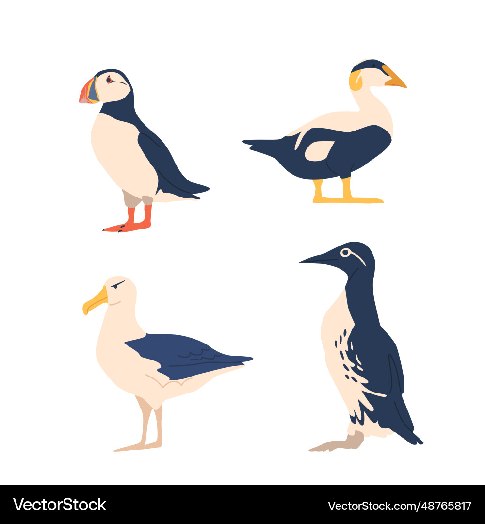 Arctic birds include puffin snow bunting Arctic birds include puffin snow bunting vector image