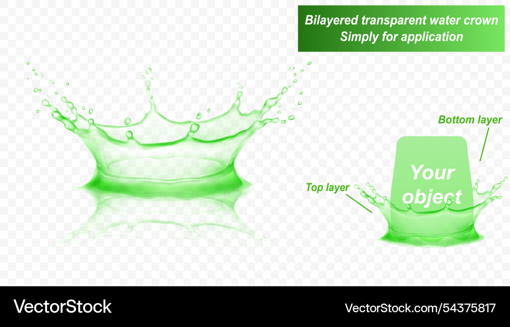 Wasserkrone mit zwei Schichten Spritzer Wasserkrone mit zwei Schichten Spritzer vektorbild