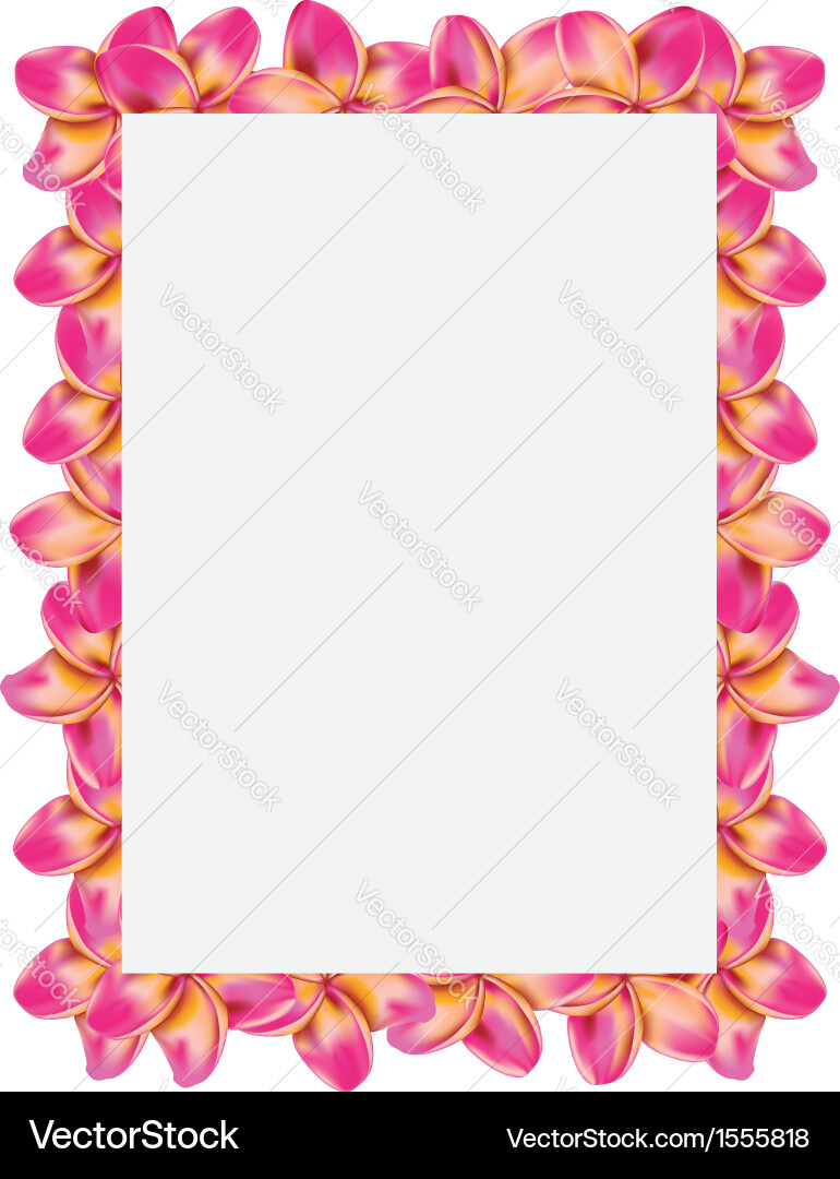 Frangipani frame Royalty Free Vector Image - VectorStock
