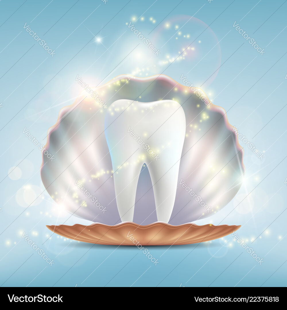 Human tooth in a seashell Royalty Free Vector Image