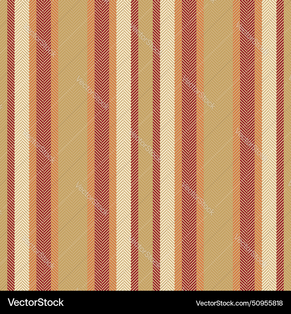 Pattern vertical textile of background stripe Vector Image