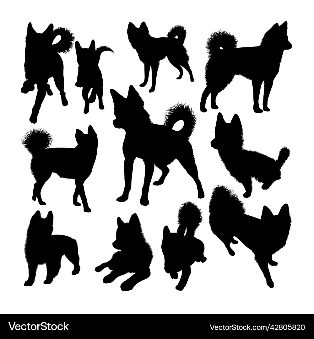 Alaskan klee kai silhouettes Alaskan klee kai silhouettes vector image