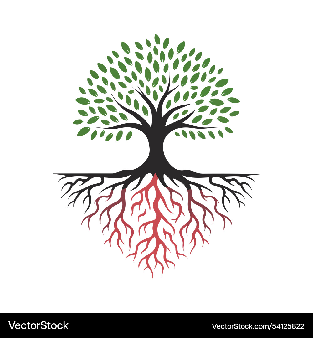A line art of large tree with roots A line art of large tree with roots vector image