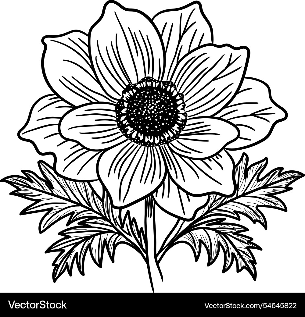 Botanical hand drawn vector image