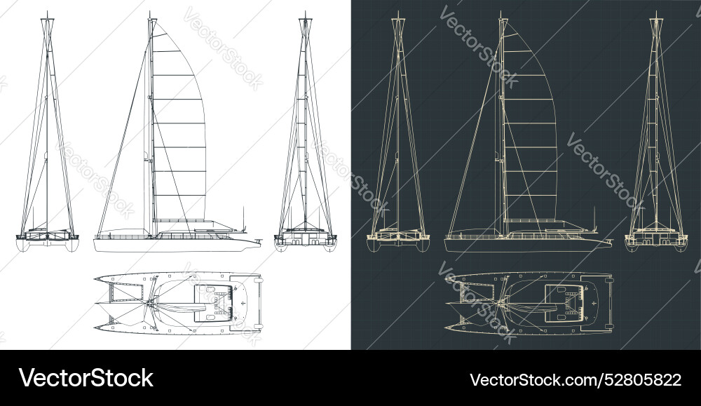 Large sailing catamaran technical drawings vector image