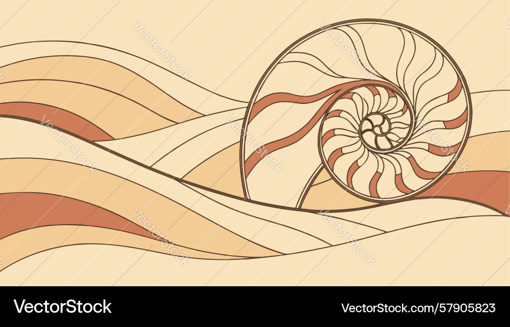 Abstract wave pattern with nautilus shell design Vector Image