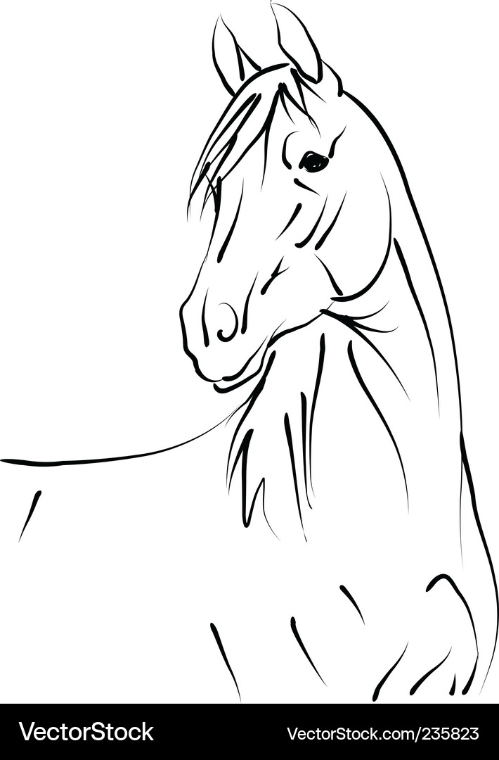 Elegant Black Horse Silhouette Vector Image