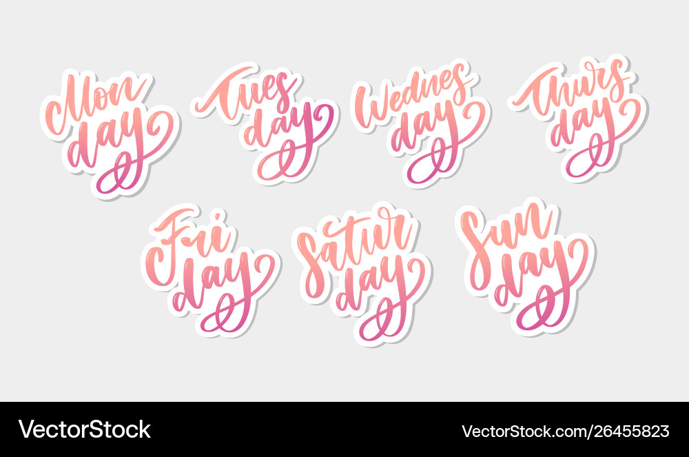 Handwritten week days and symbols set ink font vector image