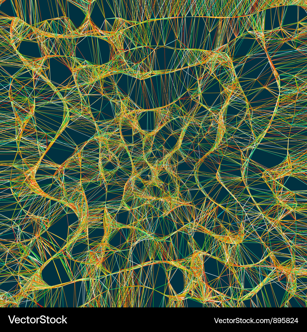 Complex Network Lines Vector Image