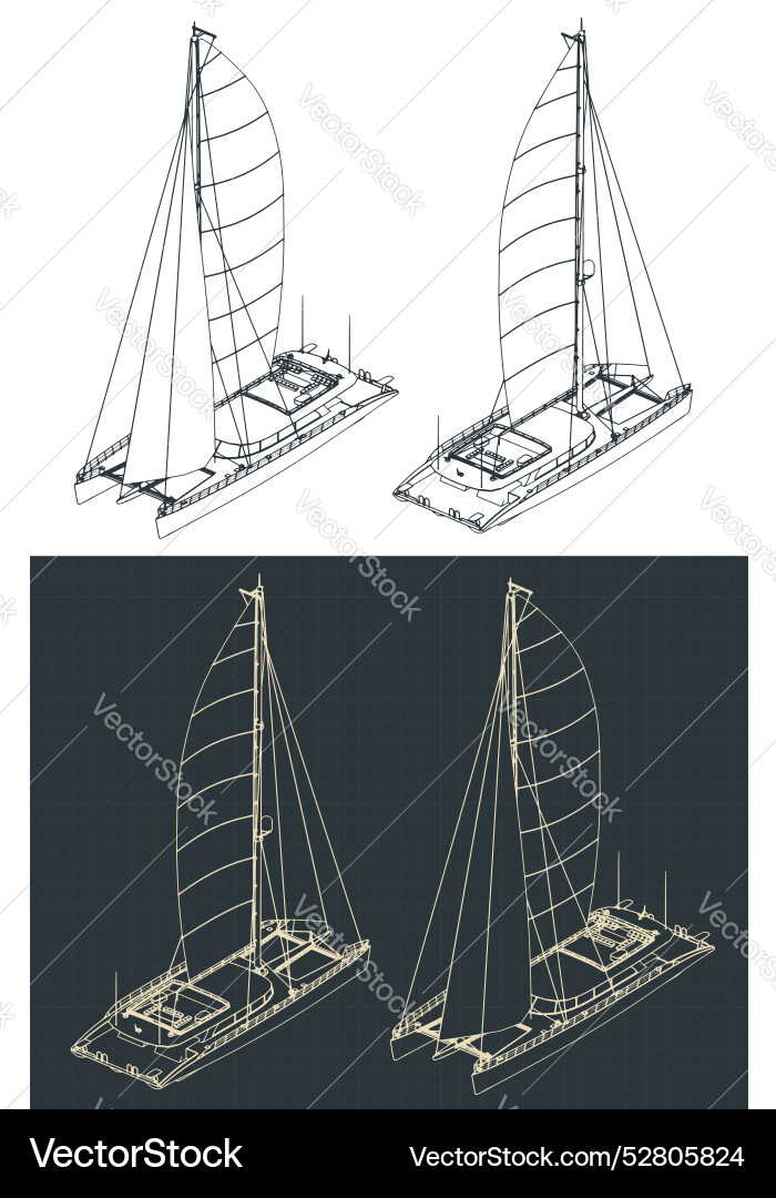 Large sailing catamaran isometric technical vector image