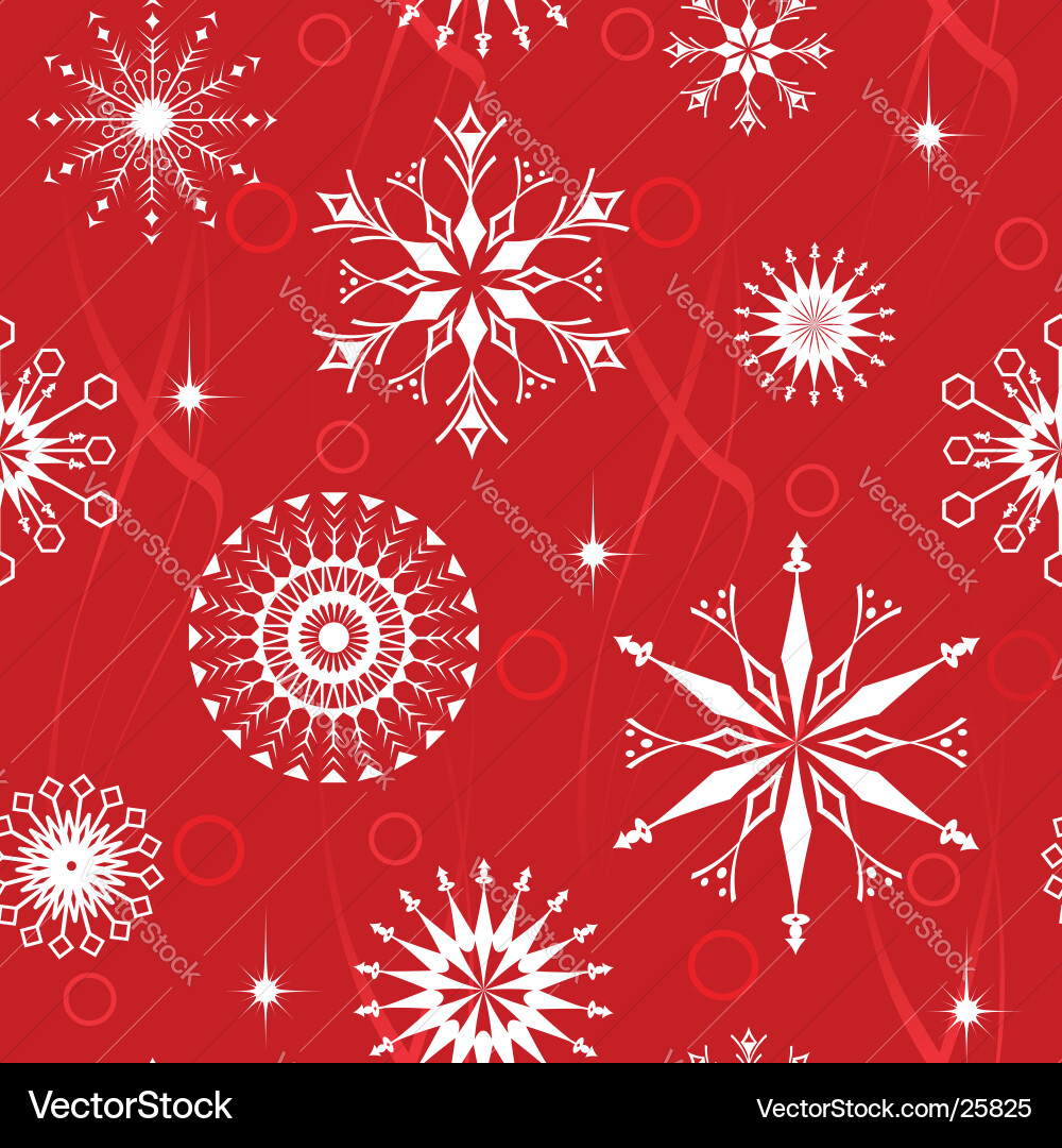 Winter Snowflake Pattern vector image
