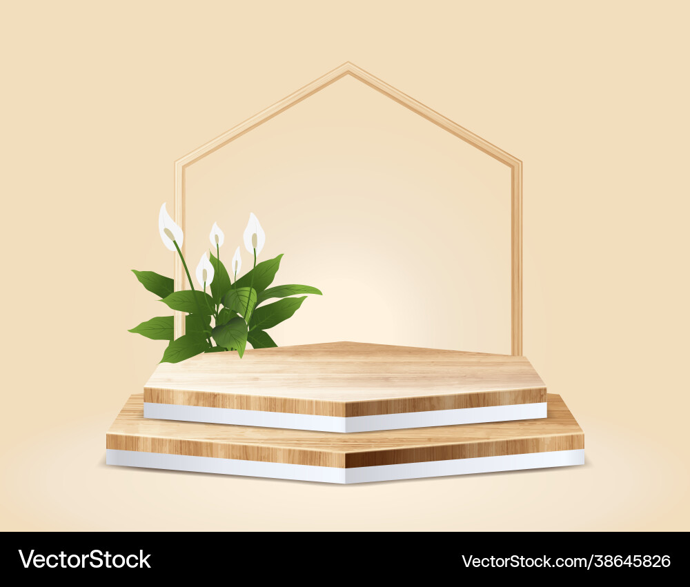 Abstract minimal scene with geometric hexagon vector image
