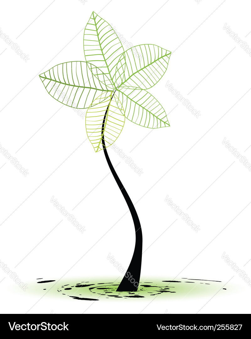 Sapling tree Vector Image