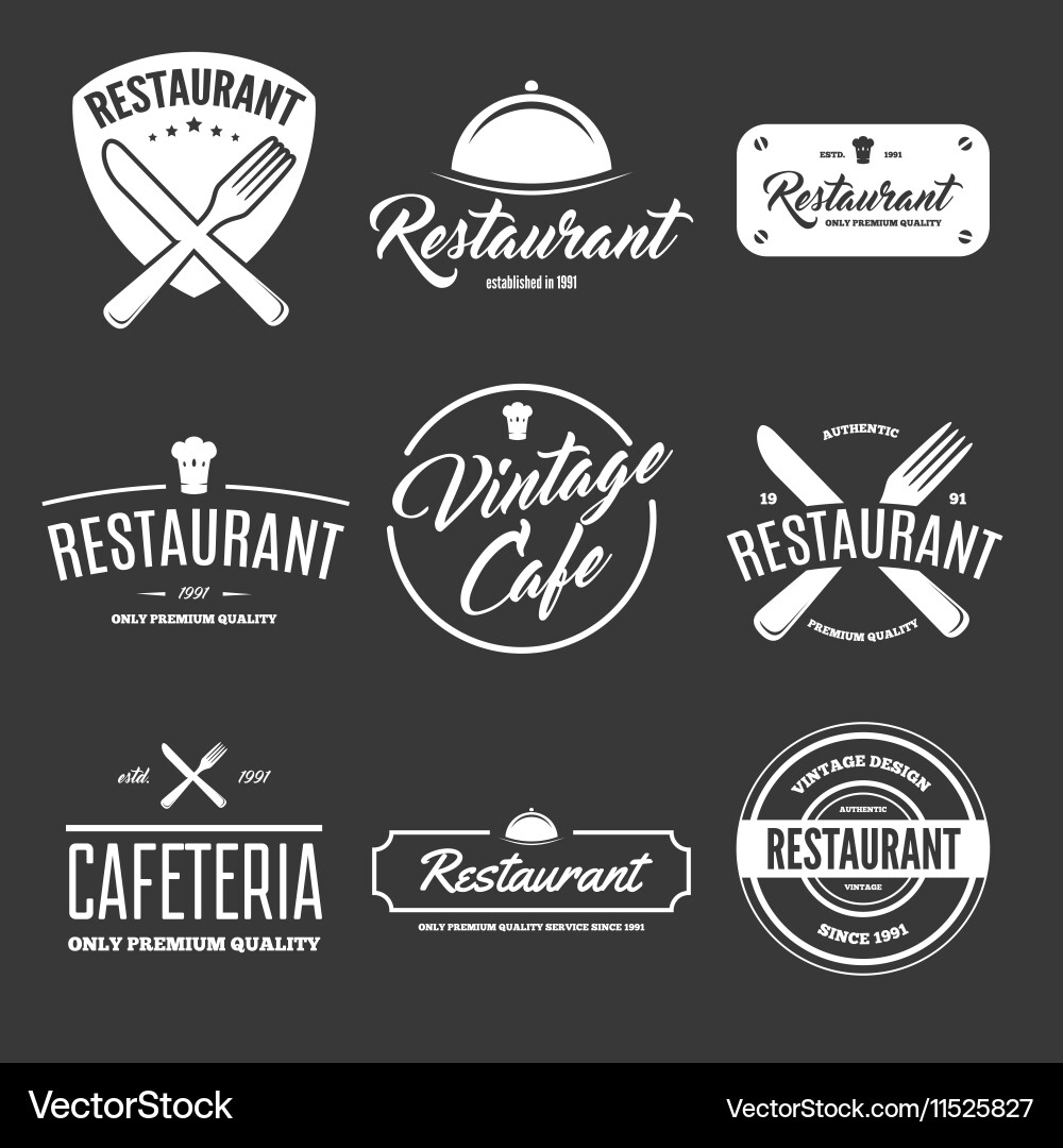 Set of vintage style elements labels and badges vector image