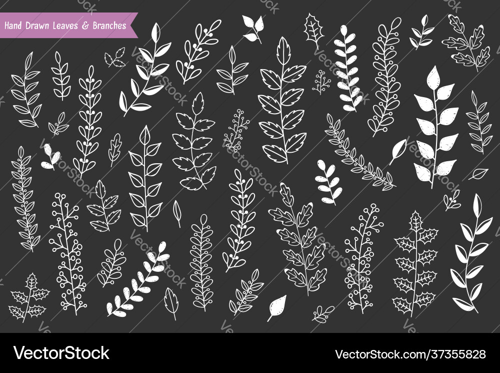 Hand drawn leaves and branches vector image