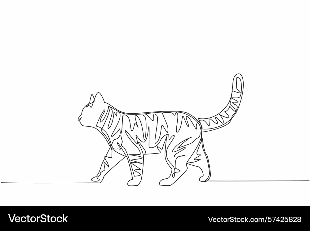 Single continuous line drawing tabby cat Vector Image