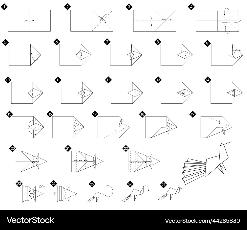 Diy tutorial how to make origami peacock from vector image