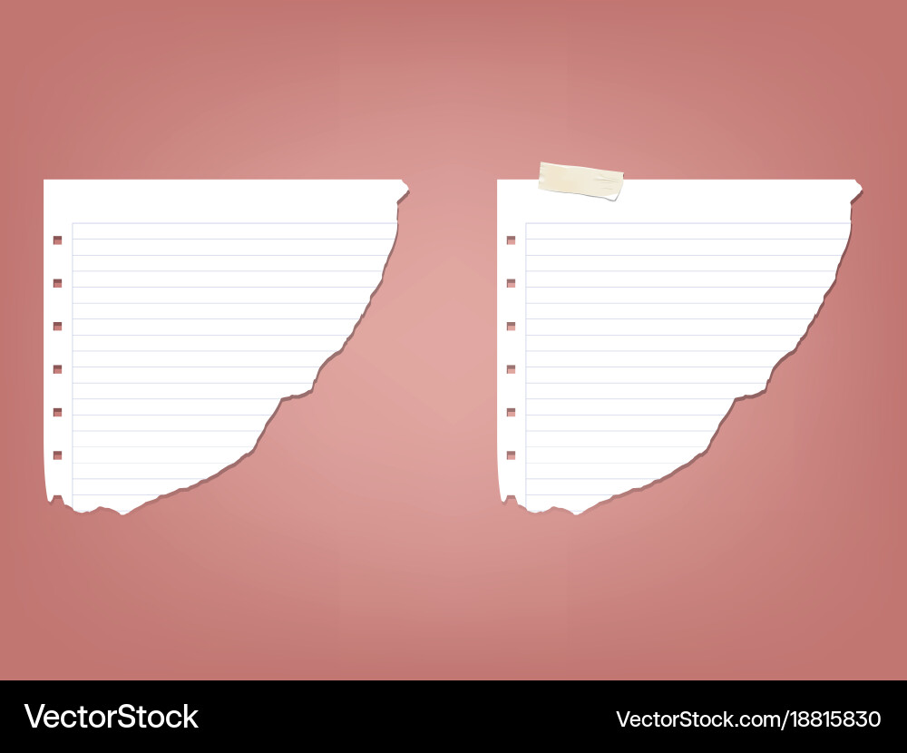 Sheet page in a strip of notepad notebook vector image