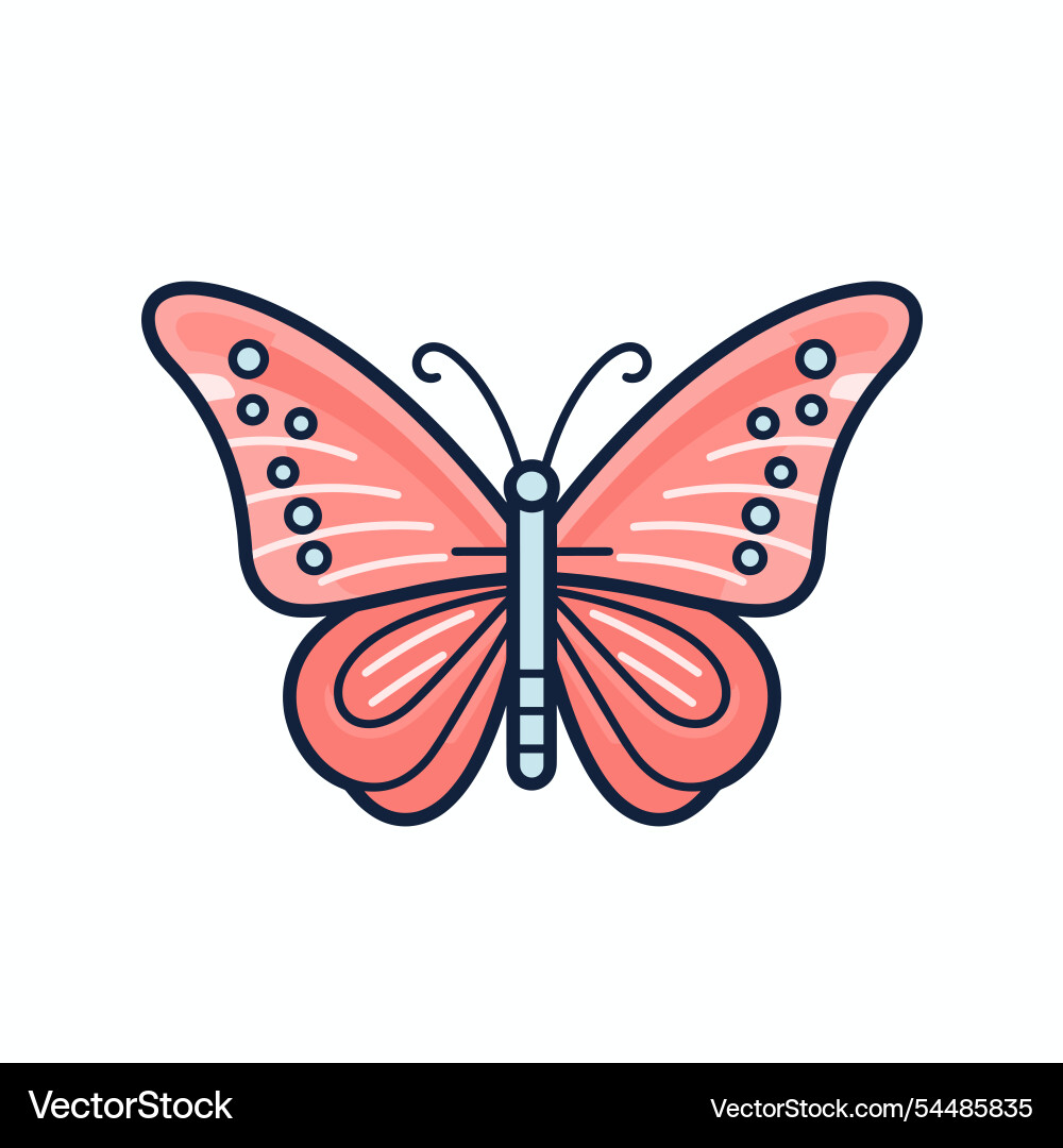 Colorful butterfly design with intricate patterns Vector Image