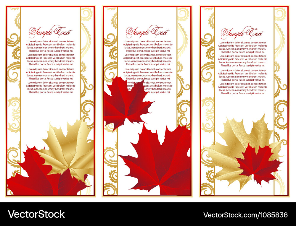 Abstract set frame with leaves Vector Image