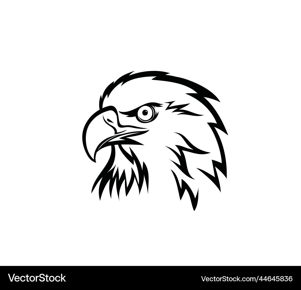 Eagle face Royalty Free Vector Image - VectorStock