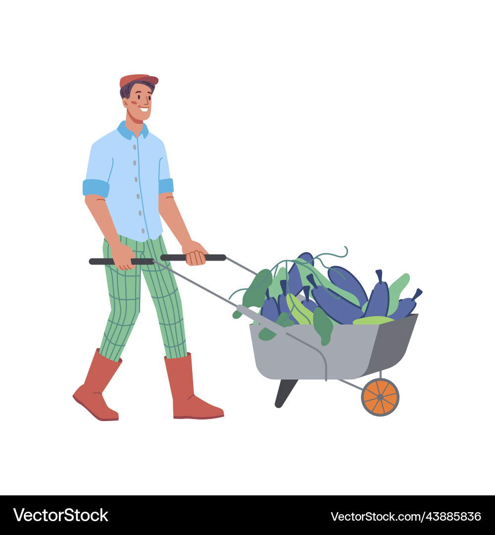 Farming man with wheelbarrow of eggplants Farming man with wheelbarrow of eggplants vector image