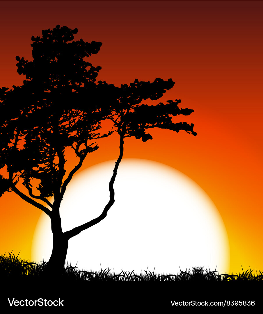 Silhouette von Baum auf Sonnenuntergang Hintergrund Vektorbild