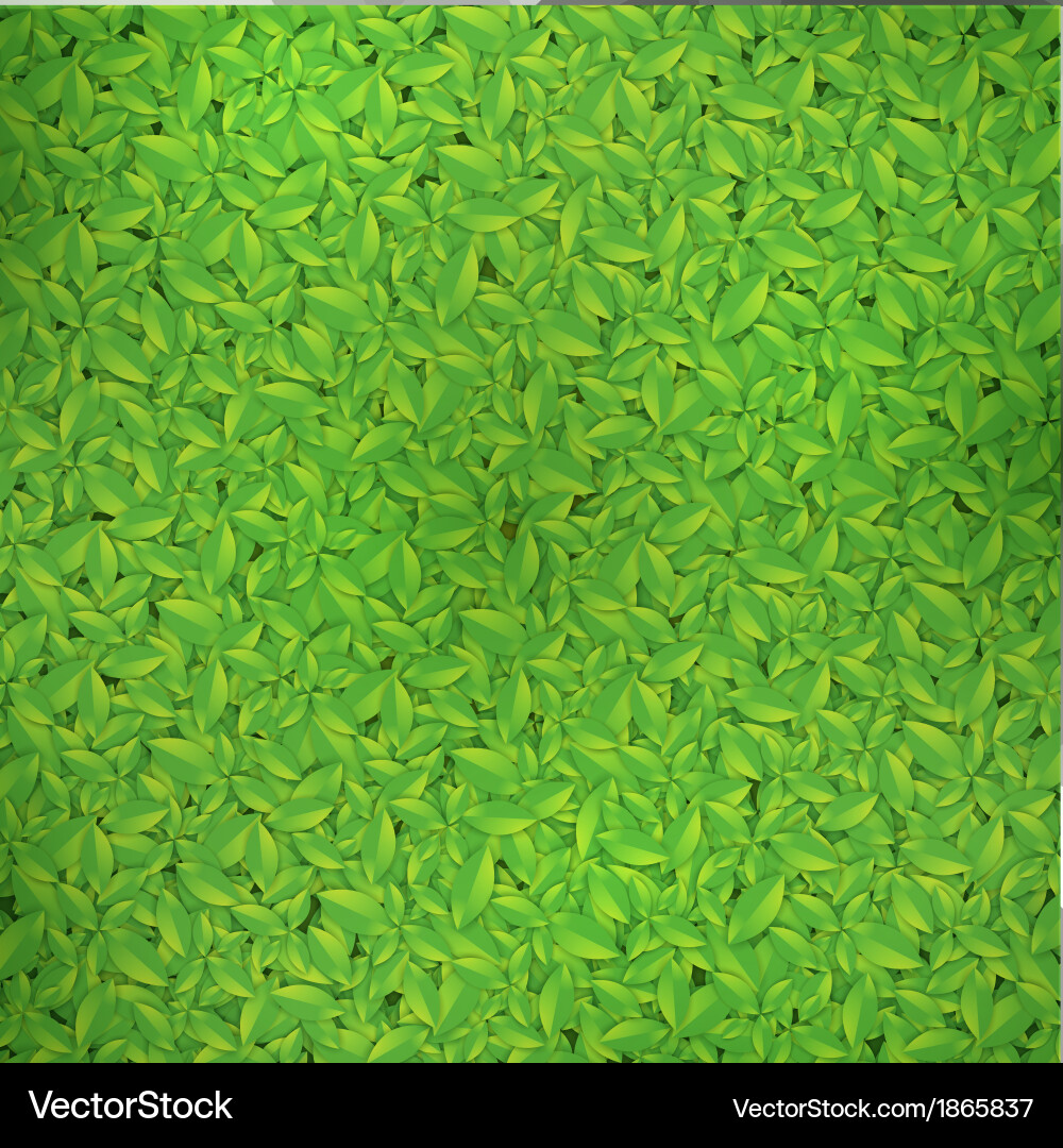 Green leaf background Royalty Free Vector Image