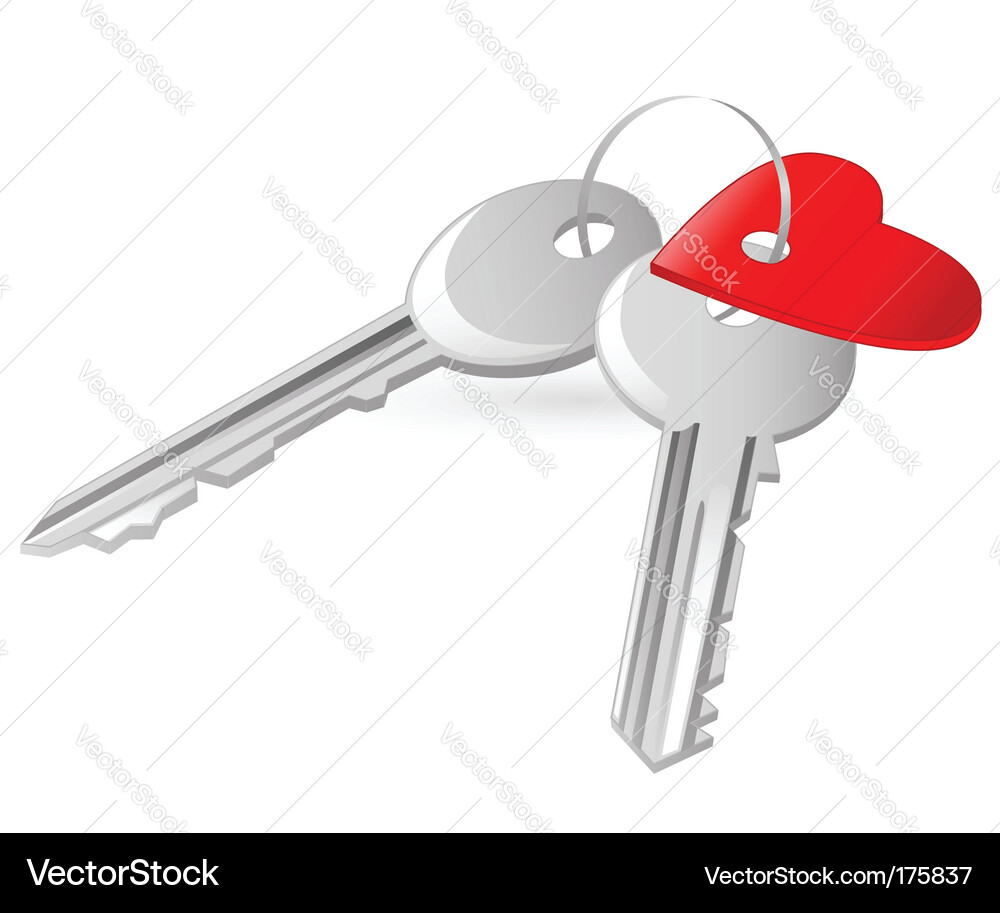 Keys and heart tag Vector Image