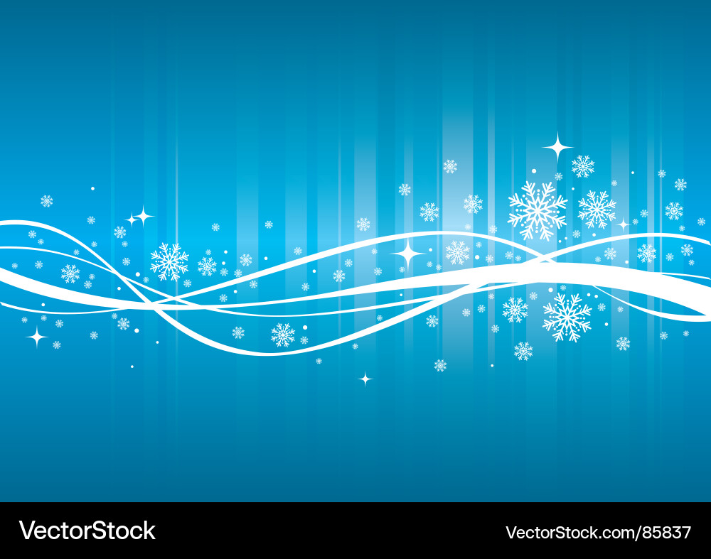 Winter Snowflake Pattern vector image