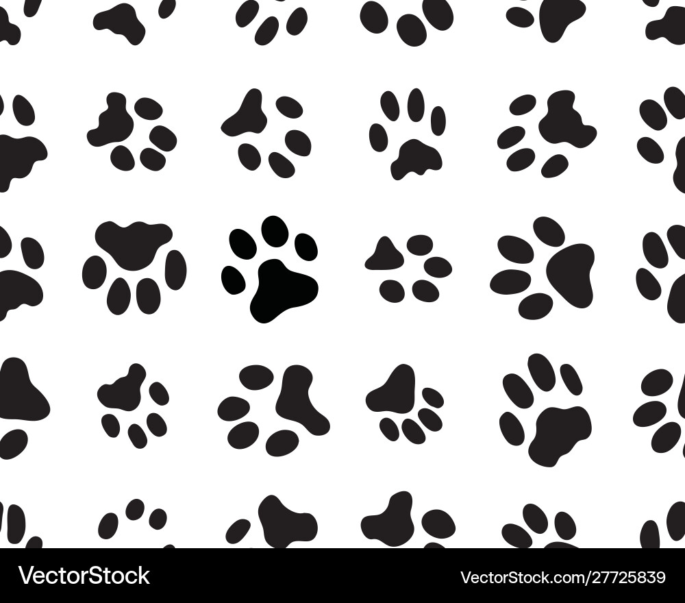 Paw Prints on White Background Vector Image