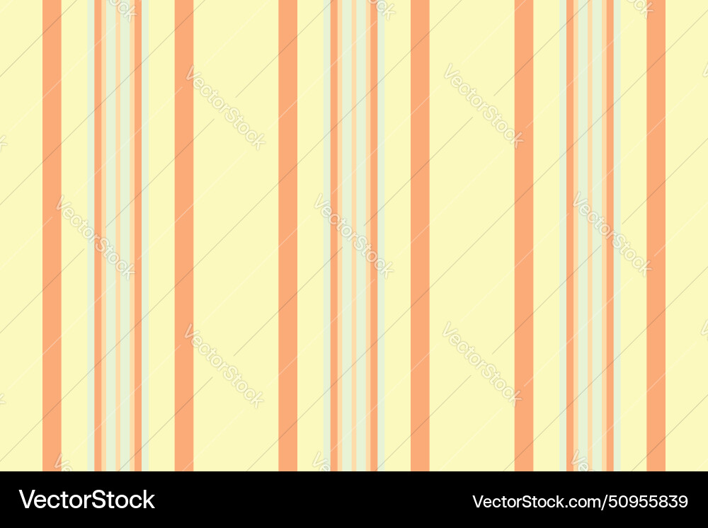 Vertical lines stripe of pattern texture Vector Image