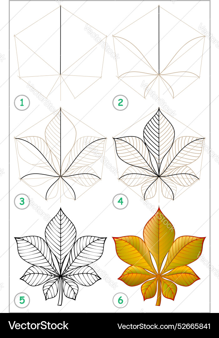 Page shows how to learn step by draw Vector Image