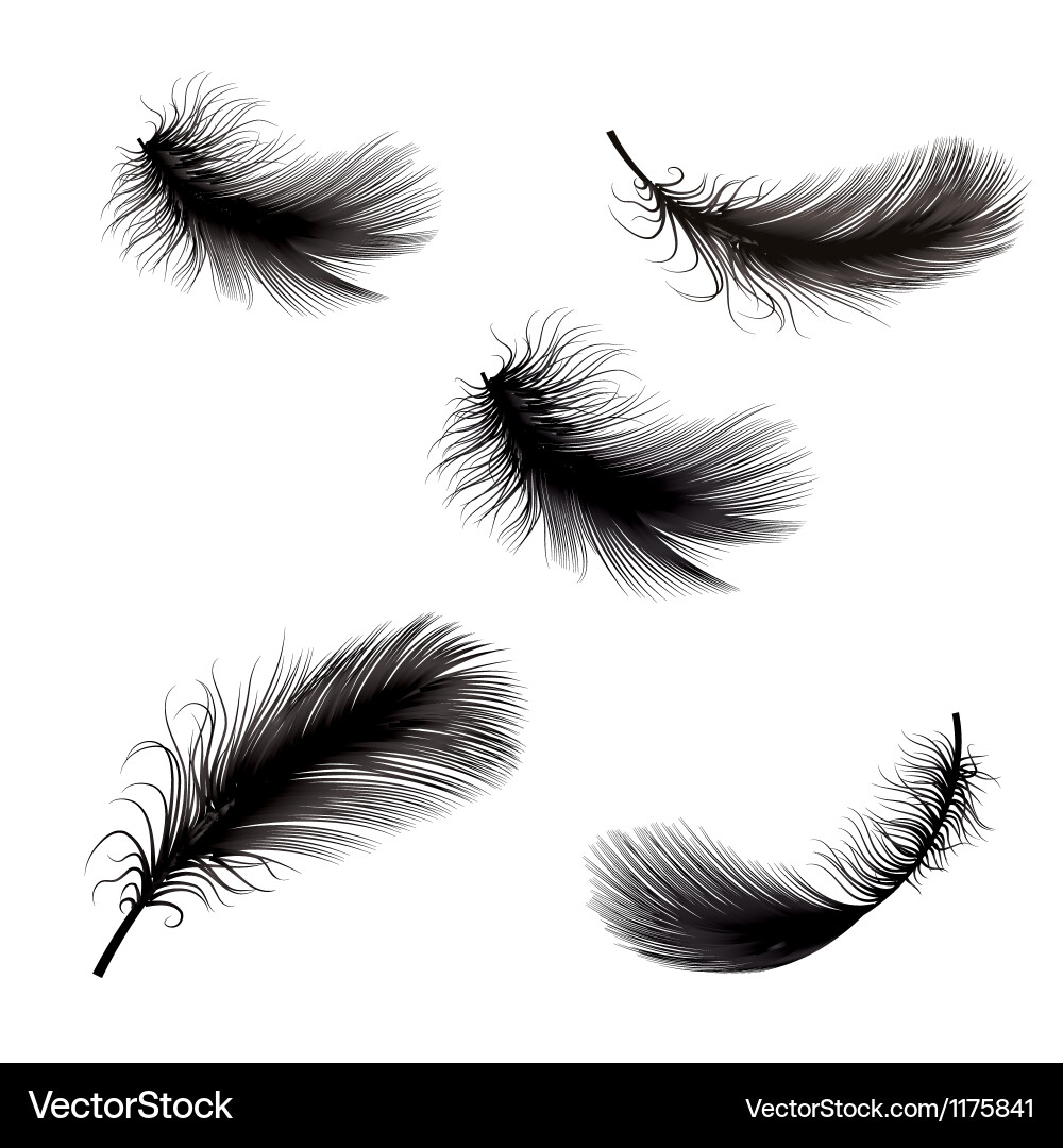 Pen Vector Images (over 350,000)