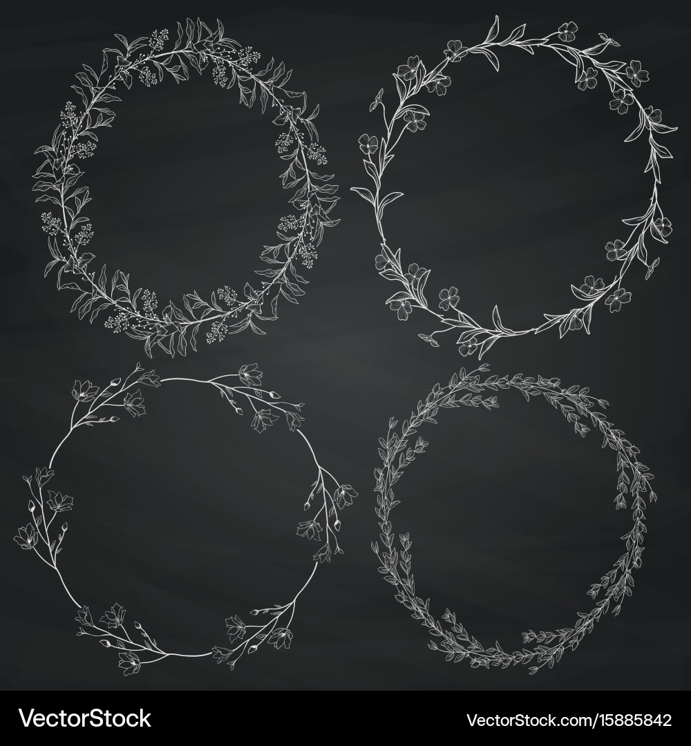 Doodle wreaths with branches herbs plants vector image