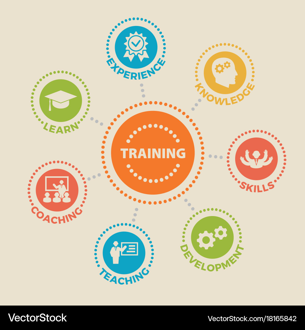 Training and Development Concepts vector image