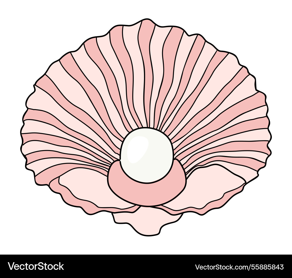 Open seashell with a pearl inside isolated Open seashell with a pearl inside isolated vector image
