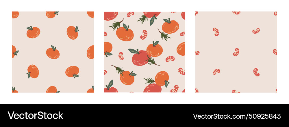 Seamless pattern set with tangerine fir twig Seamless pattern set with tangerine fir twig vector image