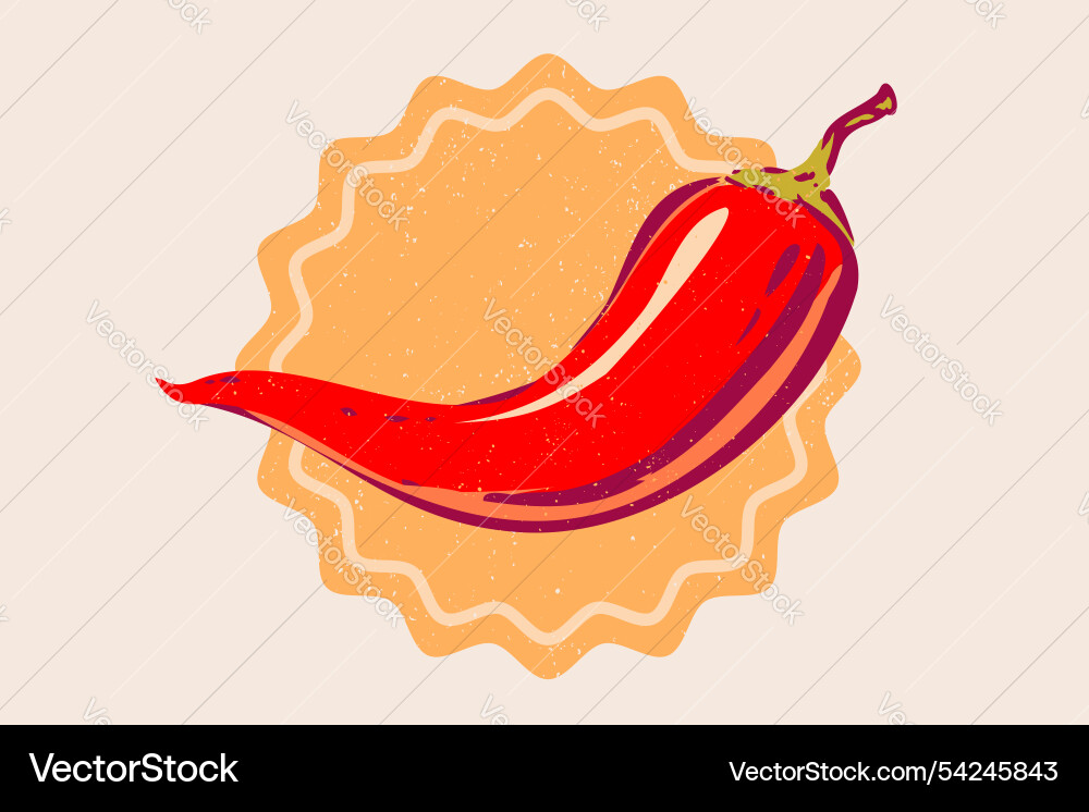 Vintage chilli pepper in hand drawing style spicy Vintage chilli pepper in hand drawing style spicy vector image